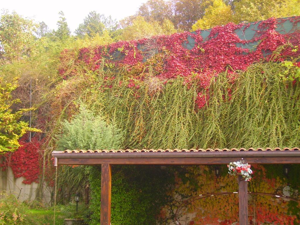 B&B Margherita Le Fiabe SantʼAgata Feltria Dış mekan fotoğraf