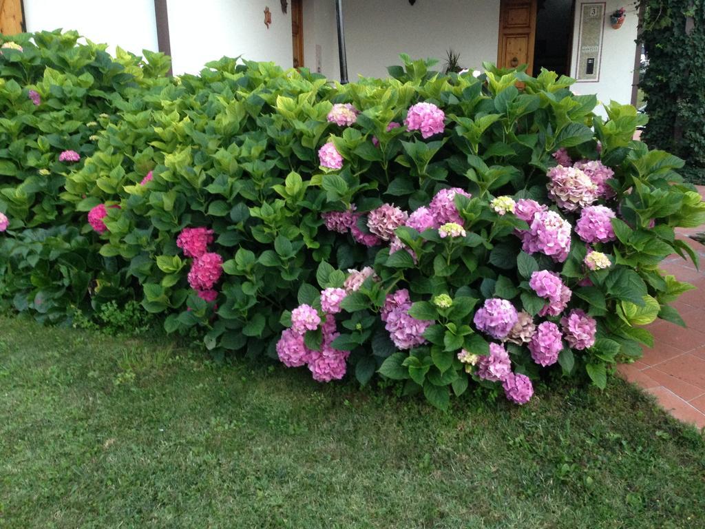 B&B Margherita Le Fiabe SantʼAgata Feltria Dış mekan fotoğraf